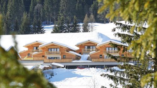 Alpin-Chalet Flachauwinkl – khách sạn tại Flachauwinkl