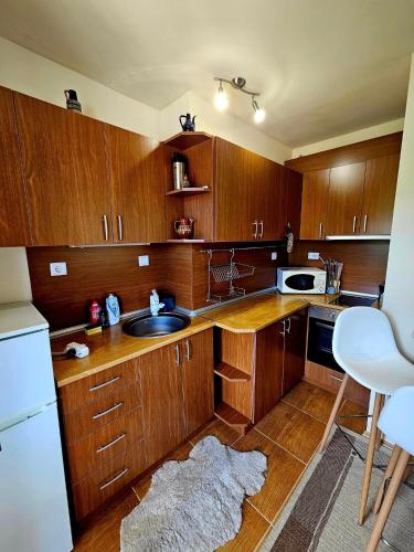 Captain's Apartment in Pamporovo