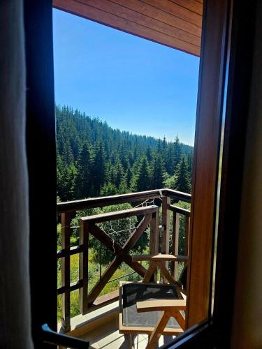 Captain's Apartment in Pamporovo