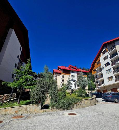 Captain's Apartment in Pamporovo