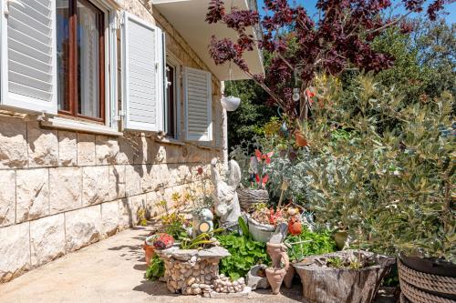 Double Room Mali Ston 14434a in 斯通