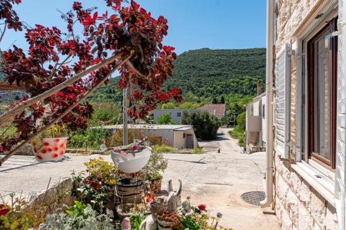 Double Room Mali Ston 14434a in 斯通