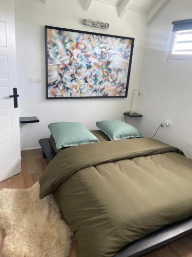 Villa spacieuse avec piscine à Saint-François 196 m² - image 3