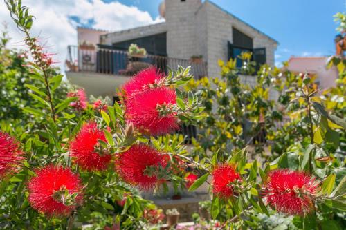 Apartments by the sea Mirca Brac - 732 - image 3