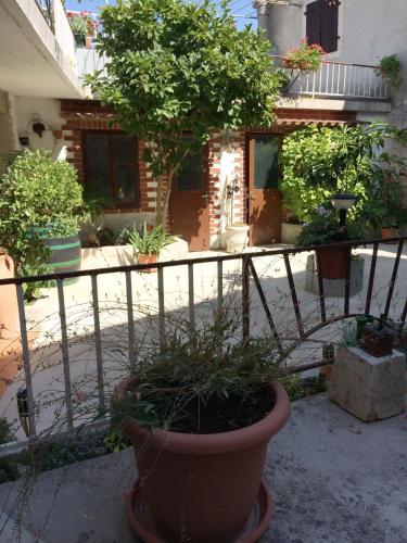 Apartments with WiFi Vodnjan Fazana - 14650 - image 2