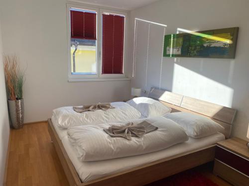 Penthouse TAMINO TOP 11 - image 4