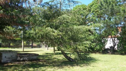I rent a house in Balneario Las Flores - Maldonado in Las Flores (Maldonado)