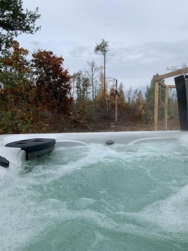 Karstais baseins, Secluded Rustic Cabin with Hot Tub Near Pere Marquette River in Big Rapids, Michigan in Luther (MI)