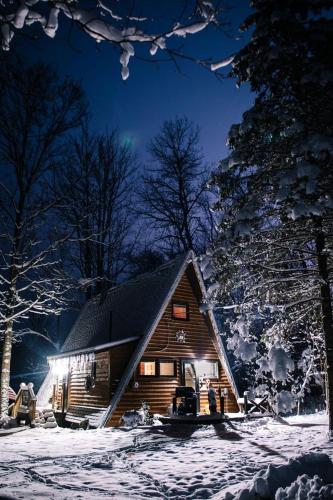 Secluded A-Frame Cabin with Private Riverfront on Little Manistee River near Tustin, Michigan in Luther (MI)