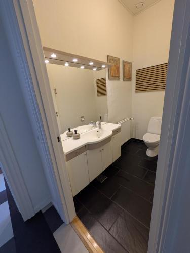 Den gamle stenhugger in Haderslev City Center