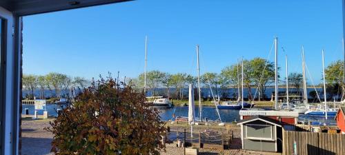 Blue Water in Orth, Deutschland