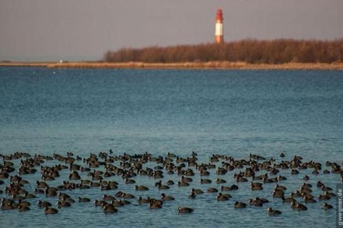 Omgivningar, Surf and Chill in Orth