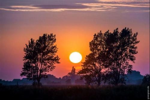 Omgivningar, Surf and Chill in Orth