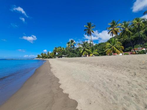 La Maison Jaune - Swimming pool & beach access 50 m away in Saint-Pierre