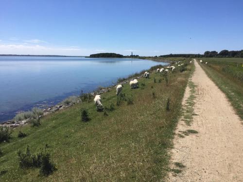 Omgivningar, Am Meer in Orth