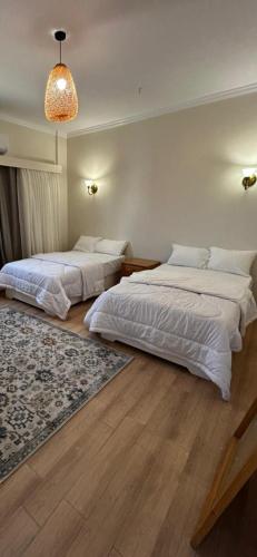 Golden Sun House II in 阿布辛貝