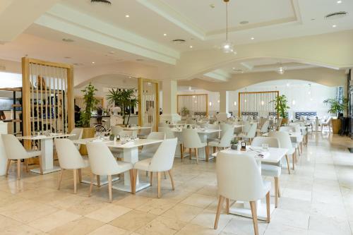 TRS Turquesa Hotel - Adults Only - All Inclusive - image 2