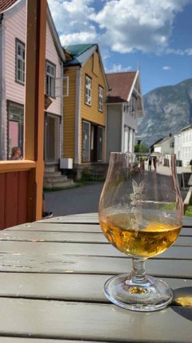 Навколишнє середовище, Lærdalsøren Motor Guesthouse in Лаердал