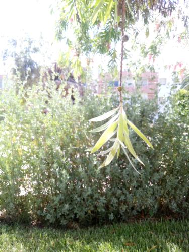 View, Villa dar deyafa jamaat fedalat near Dream Village