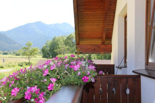 شرفة/ تراس, Penzion Chopok - Apartments in Demanova