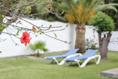 Buitenkant, Cortijo Miguelin in Zahora