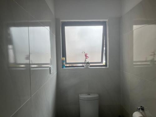 Starlink & solar perfect long-term Ibex Home in Chelston