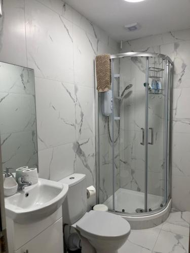Drumcondra Studio Apartment, Dublin (fotografie 6)