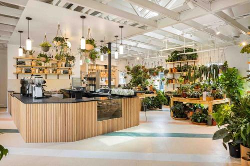 The Sun Loft Guesthouse in East Atlanta