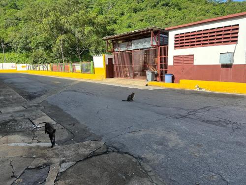 주변 환경, New Auto Motel in 바르셀로나