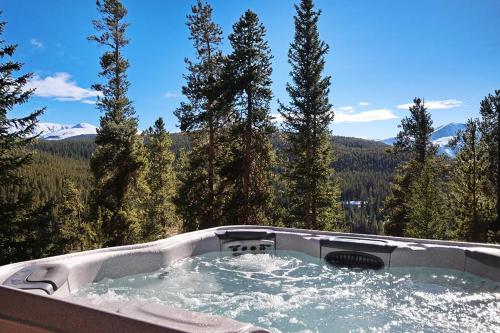 Experience luxury at 10 Southface, a spacious 4BR home in Breckenridge with mountain views! – khách sạn tại Sally Barber