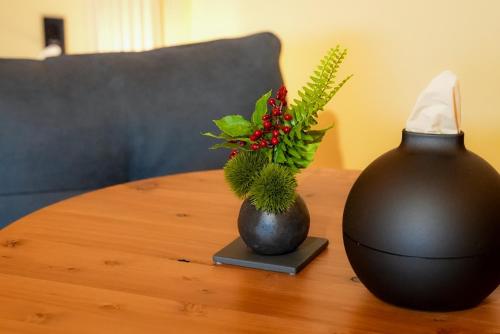 Tabiudo Stay Miyajima 01-02 - Vacation STAY 20513