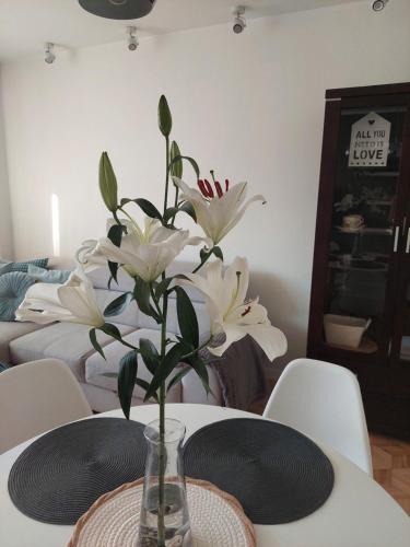 Apartament Rodzinny Przy AquaParku in Реда