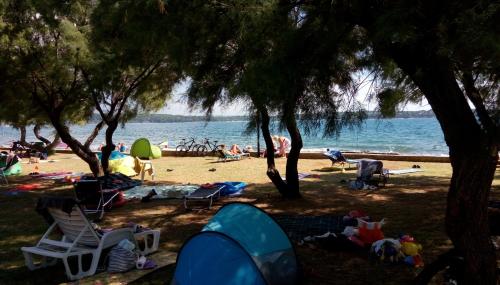  Guest House Nina, Pension in Novigrad bei Karigador