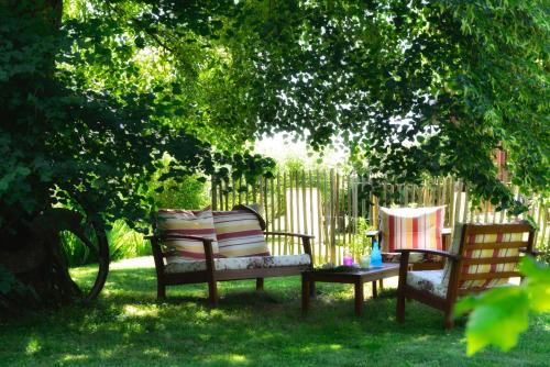 Garden, Maison d'Hotes Lechemia in Salies-de-Bearn
