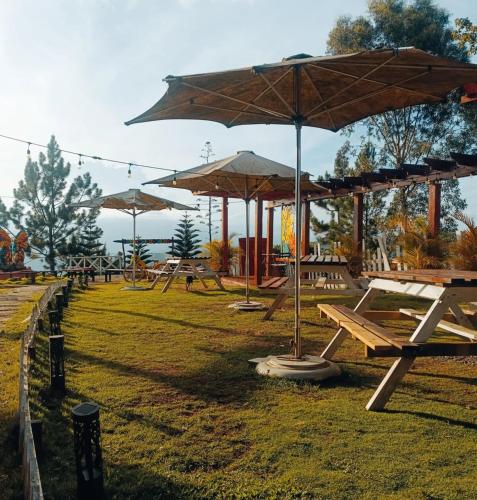 San Jose de Ocoa Encantos in San Jose de Ocoa