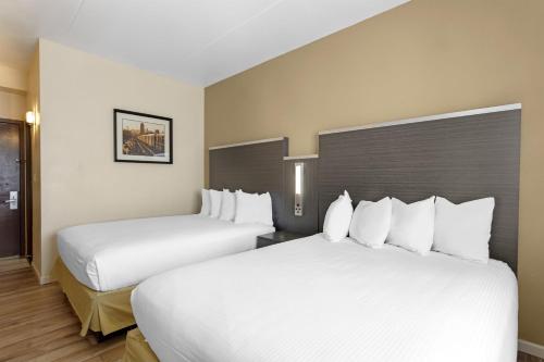 Best Western Jamaica Inn - image 6