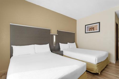 Best Western Jamaica Inn - image 2