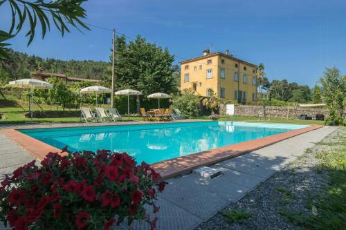 Sara Spacious Private Pool Apartment Near Lucca