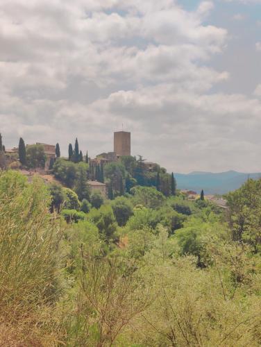 Vistas, Chambre avec salle d'eau privée (Chambre avec salle d'eau privee) in Les Arcs