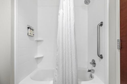 Holiday Inn Express Florence Northeast an IHG Hotel - image 11