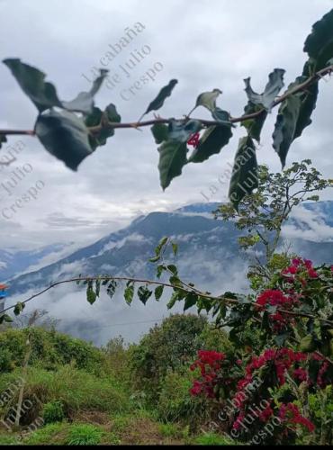 Cabañas Julio Crespo - Coroico (Cabanas Julio Crespo - Coroico) in Coroico