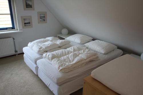 Vakantiehuis Zeeduinenbos in Aagtdorp