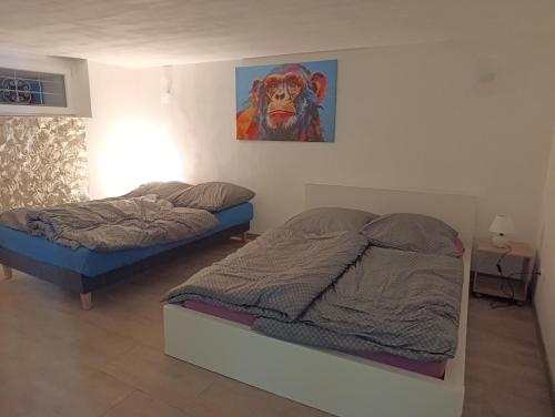 house, Hannover (fotografie 4)