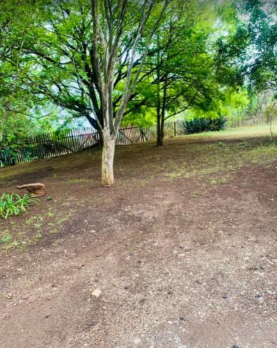 Green Escape Guesthouse in Wartburg