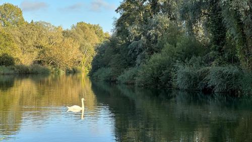 Apkārtne, Danegelts Waveney Marshes Bed & Breakfast in Geldeston
