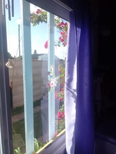 Casa Los colibrí (Casa Los colibri) in Frente Mar
