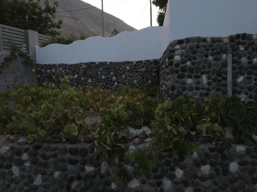 Felicity Luxury Villas - image 3