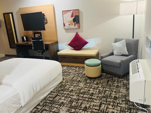 Best Western Plus Pearland/Houston Medical Center Hotel - image 9