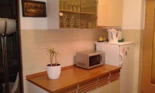 廚房, Apartment Danica in 斯瓦提祖拉克