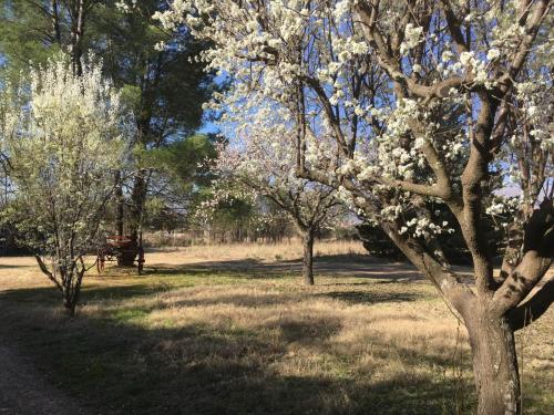 Posada Buen Camino